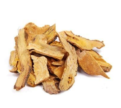 polygonum cuspidatum extract resveratrol