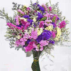 Bouquet de fleurs séchées naturelles non teintes, <span class=keywords><strong>souffle</strong></span> de bébé et mignonnette, pour décoration intérieure - Product Image 2