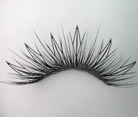 Nouveau Design Extension de Cils Marque Privée Moelleux Style À Plumes Comic Wings 0.07 Pro Made Premade Fans Comic Lash Extension
