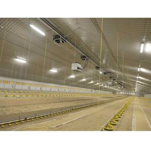 Casa de aves de corral automática a gran escala Estructura de acero ligera Diseño de cobertizo de aves de corral Granja de pollos moderna para pollos de engorde - Product Image 6
