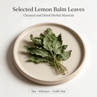 Feuilles de Mélisse Séchées en Gros |   Herbe de Melissa Officinalis Naturelle Premium en Vrac pour le Thé, l'Aromathérapie et la Matière Première Cosmétique