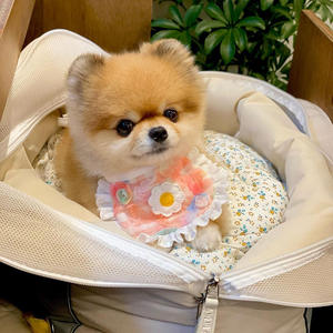 Bavoir en dentelle à carreaux <span class=keywords><strong>pour</strong></span> chien mignon, serviette à salive <span class=keywords><strong>pour</strong></span> animal de compagnie, bavoir Bichon Teddy Hiromi, collier <span class=keywords><strong>pour</strong></span> chat, harnais <span class=keywords><strong>pour</strong></span> petit chien, accessoires <span class=keywords><strong>pour</strong></span> chiots <span class=keywords><strong>Chihuahua</strong></span> - Product Image 2