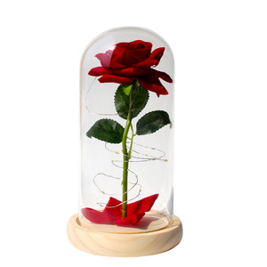Rosa Eterna Sotto Cupola di Vetro con Luci LED, Alta Qualità, Ecologica, Regalo per San Valentino, Natale, Compleanno - Product Image 5