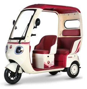 <span class=keywords><strong>Prix</strong></span> d'usine, vente en gros : Tricycle électrique cargo à 3 roues avec pneus larges pour adulte, 48V 500W, modèle ouvert - Product Image 3