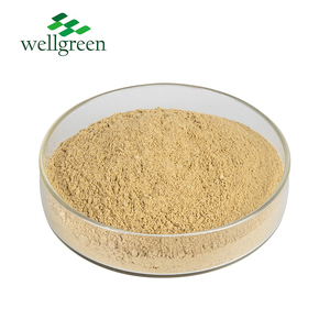 웰그린 공장 공급 저렴한 가격 남성 보충제 사용 블랙 마카 뿌리 추출물 - Product Image 2