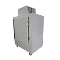 Congélateur vertical compact personnalisable pour blocs de glace, à refroidissement direct par mur froid, pour stockage extérieur