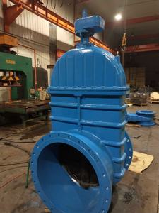 Vanne à opercule en fonte ductile VEYRON, norme DIN 3352 BS, DN100 PN16, matériau DI, tige non élévatrice, siège souple, pour l'eau - Product Image 5
