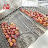 MBC Automatische Fruitwasinstallatie Bubbel Fruitreinigingsmachine voor Mango, Appel, Sinaasappel, Peer en vers fruitverwerking