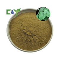 Extrait de Kava OEM ODM, Poudre de Kava, Poudre de racine de Kava