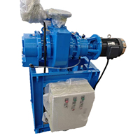Pompe à vide annulaire à eau BOYUAN PUMP ZJP-70 + 2BV5110 Roots personnalisée pour le client - Ensemble avec armoire de commande