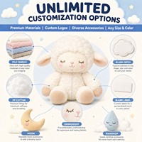 OEM ODM Maßgefertigter Konfetti-Wolken-Lamm Plüsch-Schlüsselanhänger Maskottchen Werbegeschenk Neujahrsgeschenk mit Logo CPC Saisonales Feiertagsgeschenk Weiches Spielzeug