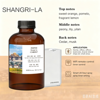 Fabricant d'huiles parfumées en gros, huile essentielle de parfum d'hôtel de luxe pour diffuseur d'arômes, OEM ODM personnalisé