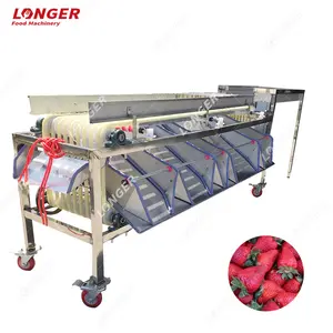 Hot sale Dates Sorting Machine Dates Molasses Making Machine