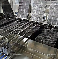 Cubo de oblea suave automático de acero inoxidable 304 personalizado, máquina para hacer galletas y gofres, nuevo proveedor, línea de producción de obleas rellenas