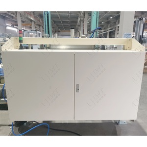 Máquina paletizadora de bajo nivel, pórtico, paletizador automático, acondicionador de cabello, base líquida, planta de fabricación de dosis pequeña, paletizador automático - Product Image 5