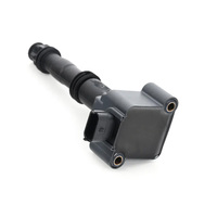 Automotive Engine Parts Ignition Coils for Porsche 99760210402