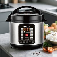 Cuisinière électrique intelligente multifonctionnelle HALEY, fabrication directe en usine, OEM/ODM, pour les essentiels de la maison