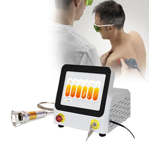Máquina de <span class=keywords><strong>fisioterapia</strong></span> láser de alta potencia Clase IV Láser de diodo 980nm 60W Equipo de <span class=keywords><strong>fisioterapia</strong></span> láser Terapia Dolor de espalda - Product Image 3