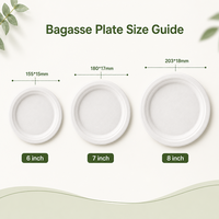 Assiette ronde jetable en bagasse écologique de 7 pouces pour les fêtes, les pique-niques et le camping