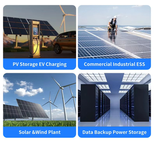 Batería de Litio Solar de Ciclo Profundo de 51.2V 100Ah LiFePO4 para Almacenamiento de Energía en el Hogar, 5.12KWh, Montada en Pared - Product Image 6
