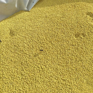 Gránulos de Polen de Abeja Puro de Primera Calidad Natural para Consumo Humano - Product Image 4