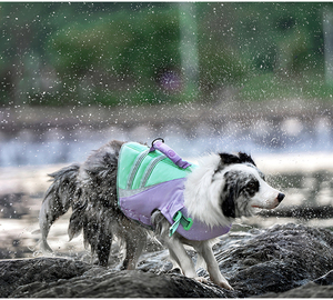 Chaleco Salvavidas Reflectante de Nailon Cómodo para Mascotas Truelove, Chaleco de Flotación Ajustable con Asa de Rescate para Perros - Product Image 5