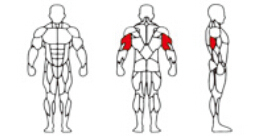 Entrenador <span class=keywords><strong>de</strong></span> Tríceps con Fuerte Estimulación Muscular y Sensación <span class=keywords><strong>de</strong></span> Entrenamiento Evidente, <span class=keywords><strong>Precio</strong></span> Accesible, Robusto y Duradero - Product Image 5