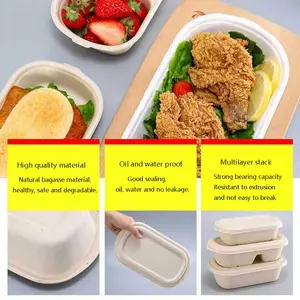 Disposable Biodegradable Lunch Box Take Away Food Container 800ml 1000ml 2 Compartment Bento Box With Lid