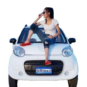 Qilu Fengde Electric Vehicle Foot <b>Pedal</b> Accelerator 12V Custom Made FRP Material For Sightseeing <b>Car</b> - Product Image 5