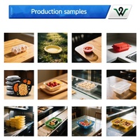 Machine voor het automatisch maken van PP PET zaailingbakjes, voedselcontainers, fruitdozen en wegwerp lunchboxen - hoge productiviteit vacuümvormen