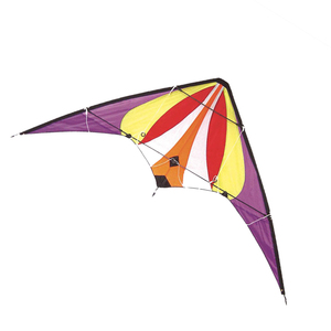 Aquilone Acrobatico a Doppia Linea per Adulti |   Kite Sportivo ad Alte Prestazioni, 360 °   Rotazione e Lancio Facile |   Vendita all'ingrosso direttamente dalla fabbrica - Product Image 3