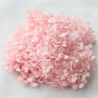 Fleurs d'hortensia Anna stabilisées, boîte cadeau élégante, hortensia véritable éternel, décoration intérieure, longue durée, DIY, Fête des Mères, Remise de diplôme