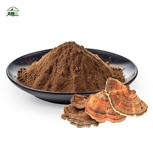 도매 공급 코리올러스 <span class=keywords><strong>Versicolor</strong></span> 추출물 칠면조 꼬리 버섯 추출물 - Product Image 3