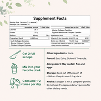 Poudre de peptides de collagène multi-spectre avec vitamine C et acide hyaluronique pour la santé de la peau et le soutien osseux OEM