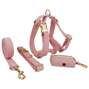 <span class=keywords><strong>Multi</strong></span> Farben Custom ized Name Logo Cord Haustier Geschirr Hund XS-XL Halsbänder und Leine Set Welpen Katze führt mit Fliege und Poop Bag - Product Image 3