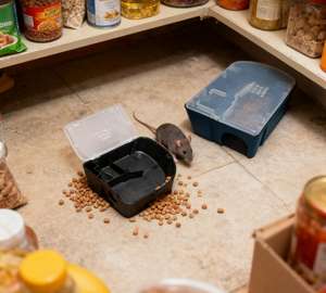 Estación de Cebo para Ratas de Estado Sólido, Impermeable, Ecológica, Eficaz y Duradera, Trampas para Ratones, Control de Roedores, Mata Ratas - Product Image 5