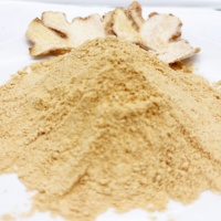 Poudre de gingembre 100 mesh, épice naturelle pure et saine du Guangxi pour la transformation alimentaire