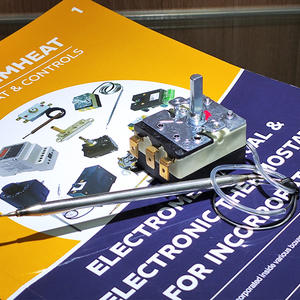 Termostato di sicurezza temperatura da forno termostato scapilario da 50 a 300 gradi - Product Image 2