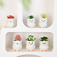 Pot à succulentes en céramique écologique le plus vendu, motif hibou de dessin animé, avec trou de drainage, petit pot pour plantes décoratives domestiques