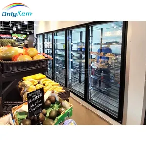 Réfrigérateur commercial d'affichage de congélateur de plain-pied de portes en verre de chambre froide de réfrigération