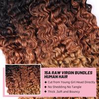 Oferta Especial: Paquetes de Cabello Humano Rizado Birmano 1B/30/27, Extensiones de Cabello Humano Virgen sin Procesar, Paquetes de Cabello Rizado Brasileño