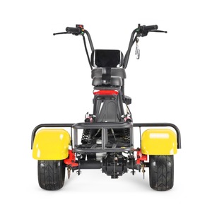 Scooter électrique Citycoco 48V 12Ah 1000W certifié CE 2025, <span class=keywords><strong>mini</strong></span>-tricycle électrique pour adultes, scooters électriques à 3 roues d'<span class=keywords><strong>occasion</strong></span> à vendre - Product Image 6