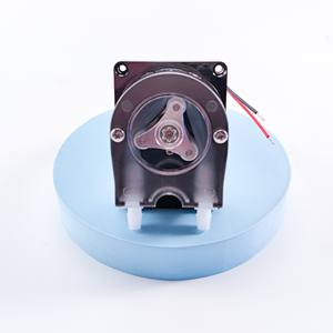 OEM206 عالية الجودة dc <span class=keywords><strong>24</strong></span> <span class=keywords><strong>v</strong></span> الشوكولاته مضخة تمعجية لمعايرة الجرعات البسيطة الكهربائية تحوي مضخة - Product Image 3