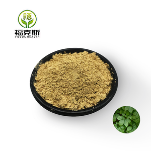 ジペノシド80% 98%  糸霊芝葉エキス / ギノステマ・ペンタフィルムエキス粉末 糸霊芝エキス 5:1 10:1 20:1 30:1 50:1 - Product Image 1