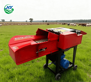 Nouvelle machine à hacher l'herbe JKY à haute productivité avec une capacité de 600 kg/h, en alliage, pour l'alimentation animale, le fourrage et l'ensilage - Product Image 1