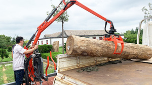<span class=keywords><strong>Remolque</strong></span> para Troncos RIMA de 2.5 Toneladas / <span class=keywords><strong>Remolque</strong></span> para Madera para ATV <span class=keywords><strong>con</strong></span> Grúa Hidráulica de 3.4m y Cabrestante Hidráulico de 30m - Product Image 3
