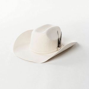 Wholesale Luxury High Quality Customize Old School Camo Felt Bulk Wooly Vintage Cowboy Men <b>Hat</b> Feather <b>Band</b> Party All Seasons - Product Image 4