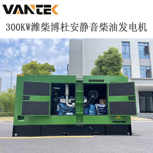 Groupe électrogène diesel Jiangsu Wantai 300 kW TPD300W5 avec capot insonorisé 50 Hz 230/400 V - Product Image 3