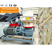 Presse à granulés de bois de petite taille certifiée CE pour sciure de bois, balle de riz, biomasse