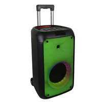 Speaker Audio Portabel Feiyang Private MOULD Guitar OUTDOOR Terbaik untuk DJ Rumahan, Bass Single 8 Inch Jb LED Rod Bt TWS USB MOBILE